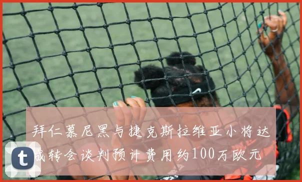 拜仁慕尼黑与捷克斯拉维亚小将达成转会谈判预计费用约100万欧元