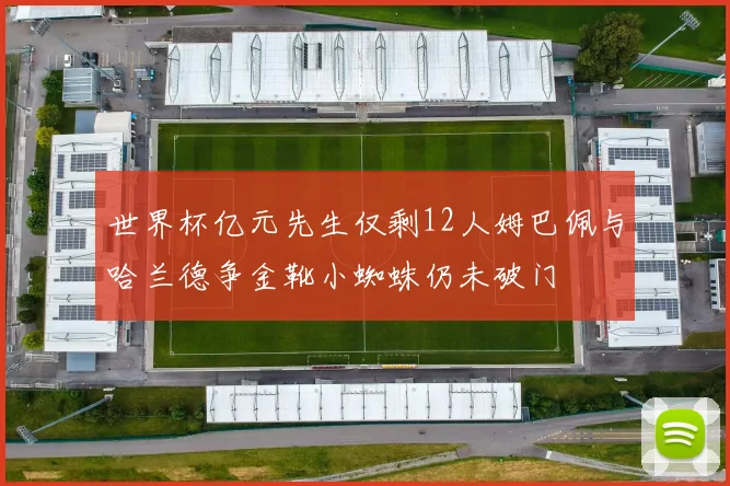 世界杯亿元先生仅剩12人姆巴佩与哈兰德争金靴小蜘蛛仍未破门