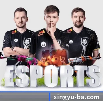杏宇娱乐 APP 界面 | XingYu
